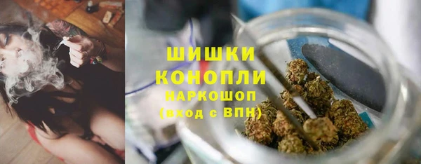 spice Богородск