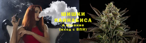 spice Богородск