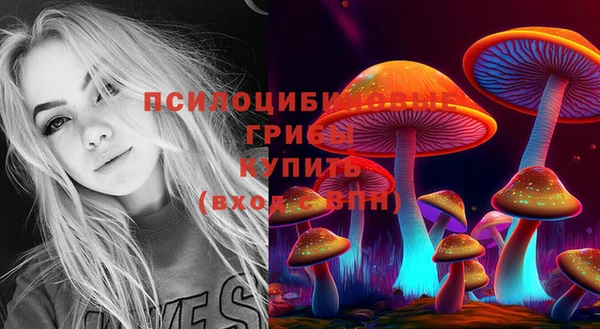 бошки Богородицк