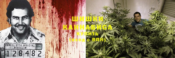 марки lsd Богданович