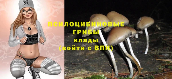 марки lsd Богданович