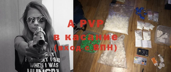 spice Богородск