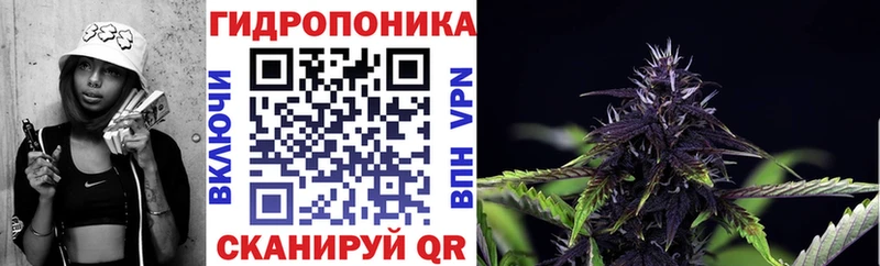 Канабис гибрид  где купить   KRAKEN ССЫЛКА  Называевск 